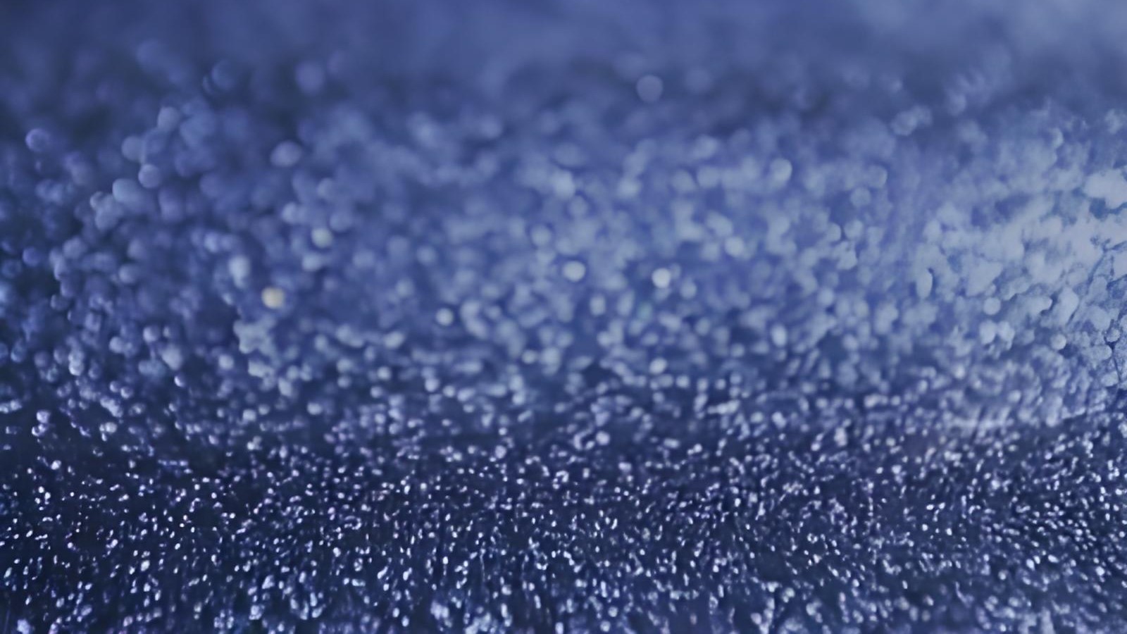 自动细度测量仪与人工细度测试方法对比及影响因素探析